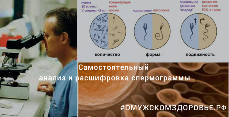 Самостоятельный анализ и расшифровка спермограммы