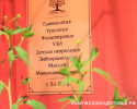 Медицинский центр «Здоровье семьи»